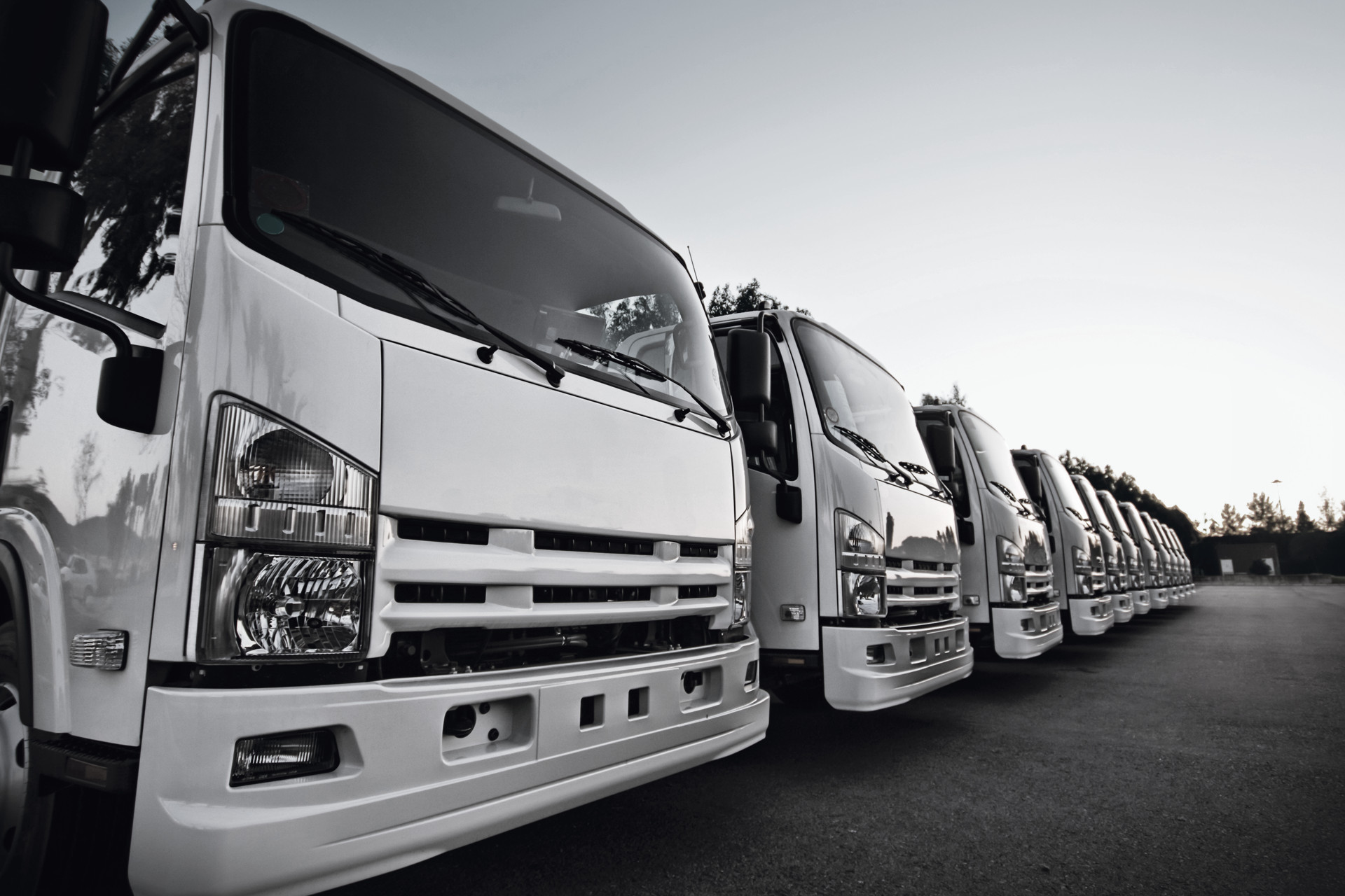 Shipping, receiving and supply chain software